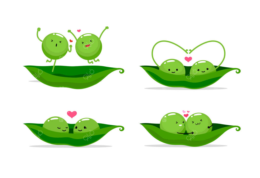 دو نخود در یک غلاف. تصویر وکتور