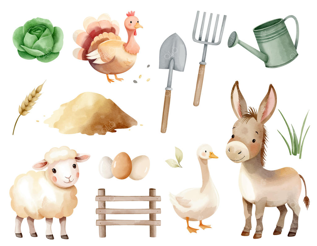 حیوانات بامزه‌ی مزرعه و عناصر کشاورزی؛ حصار، بوقلمون، الاغ، غاز، گوسفند، کلم، آب‌پاش و ابزارها