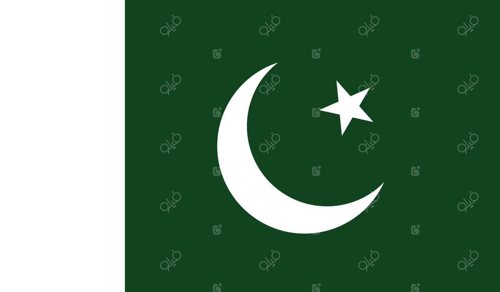 تصویرسازی وکتور پرچم پاکستان