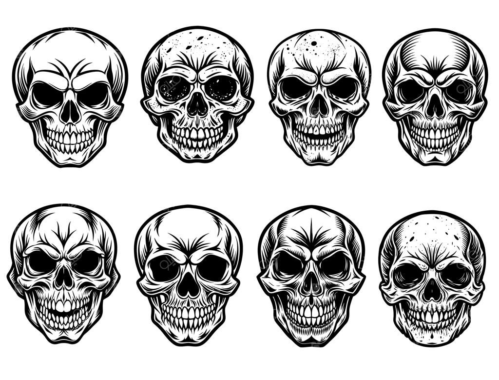 مجموعه وکتور جمجمه آناتومیک انسان