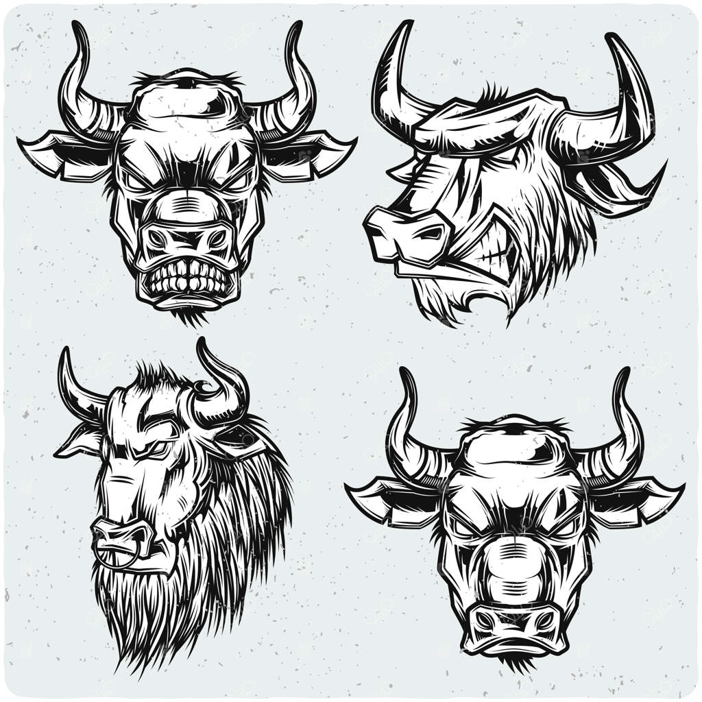 مجموعه‌ای از سر گاوها