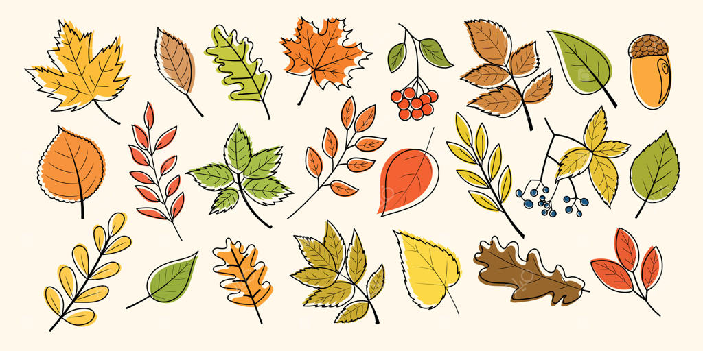 برگ‌های رنگارنگ پاییزی برای الهام طراحی فصلی: وکتور حرفه‌ای