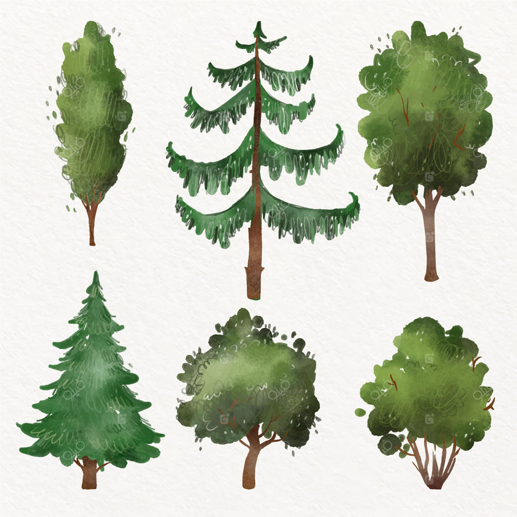 مجموعه‌ای از نقاشی‌های درخت با آبرنگ