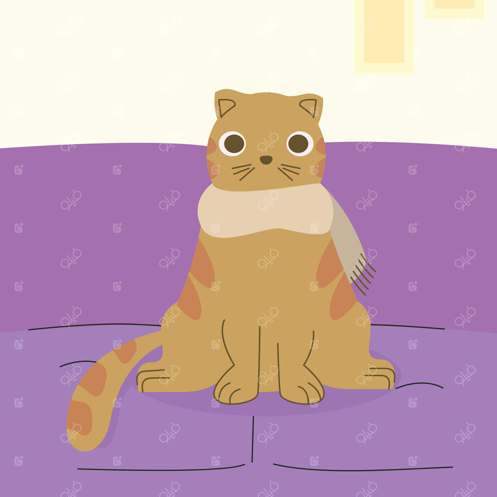 گربه بامزه روی مبل