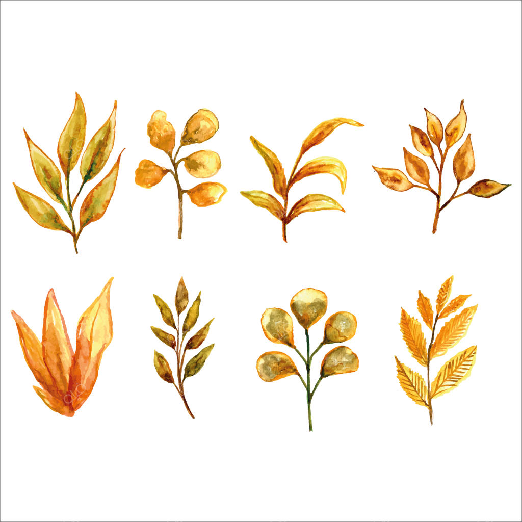 مجموعه نقاشی آبرنگ گل‌ها با برگ‌های زرد