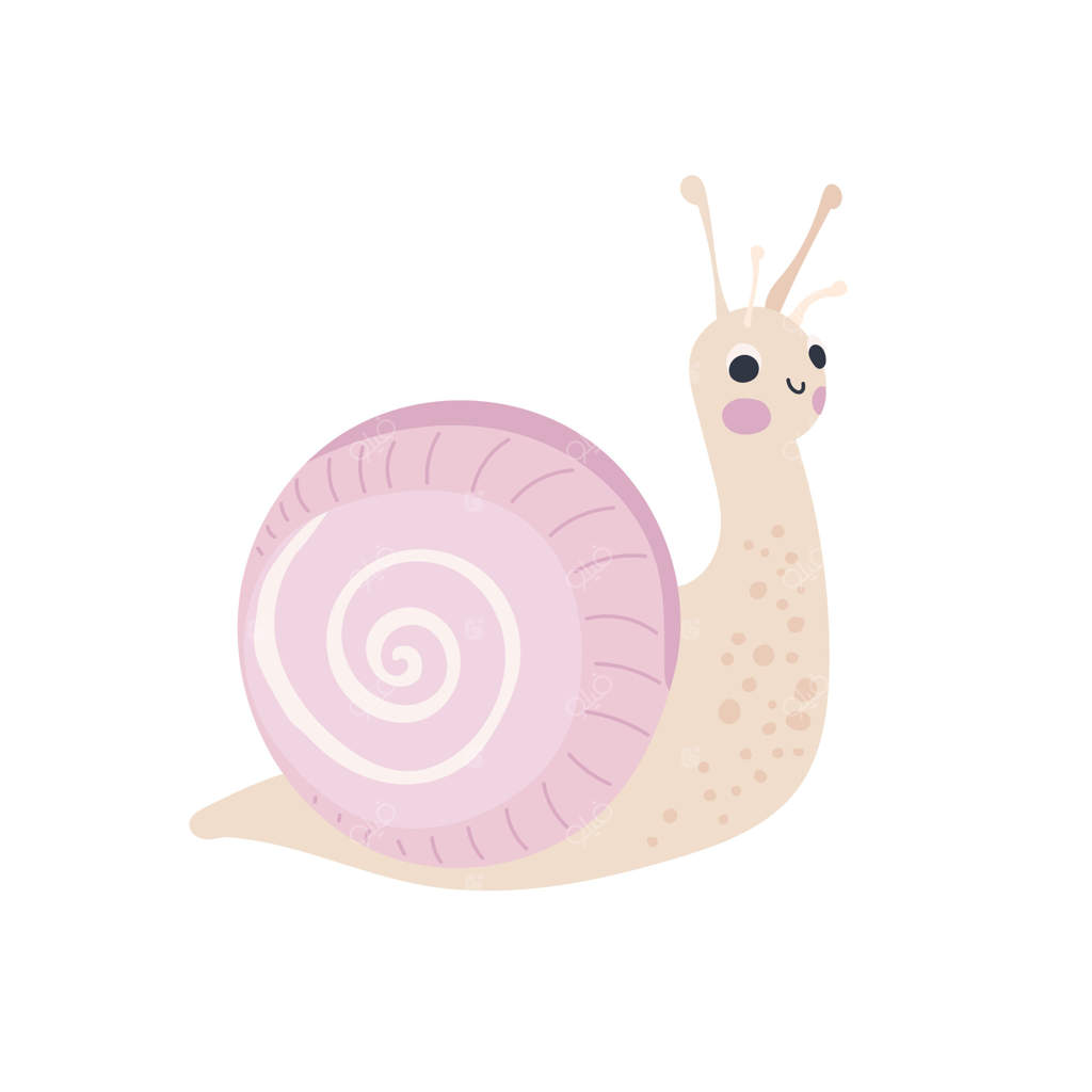 حلزون سفید و نرمی با گونه‌های سرخ و پوسته مارپیچ صورتی، ایده‌آل برای گرافیک‌های ملایم حیات وحش، هنر مینیمال اتاق کودک و تصویرسازی‌های باغچه‌ای