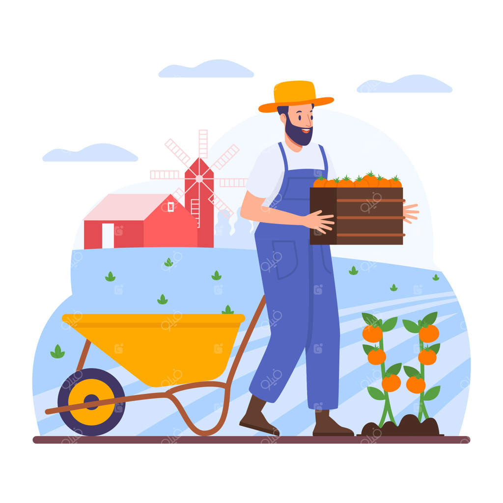 کشاورز یونیفرم پوش در حال چیدن میوه‌ها در زمان برداشت باغ