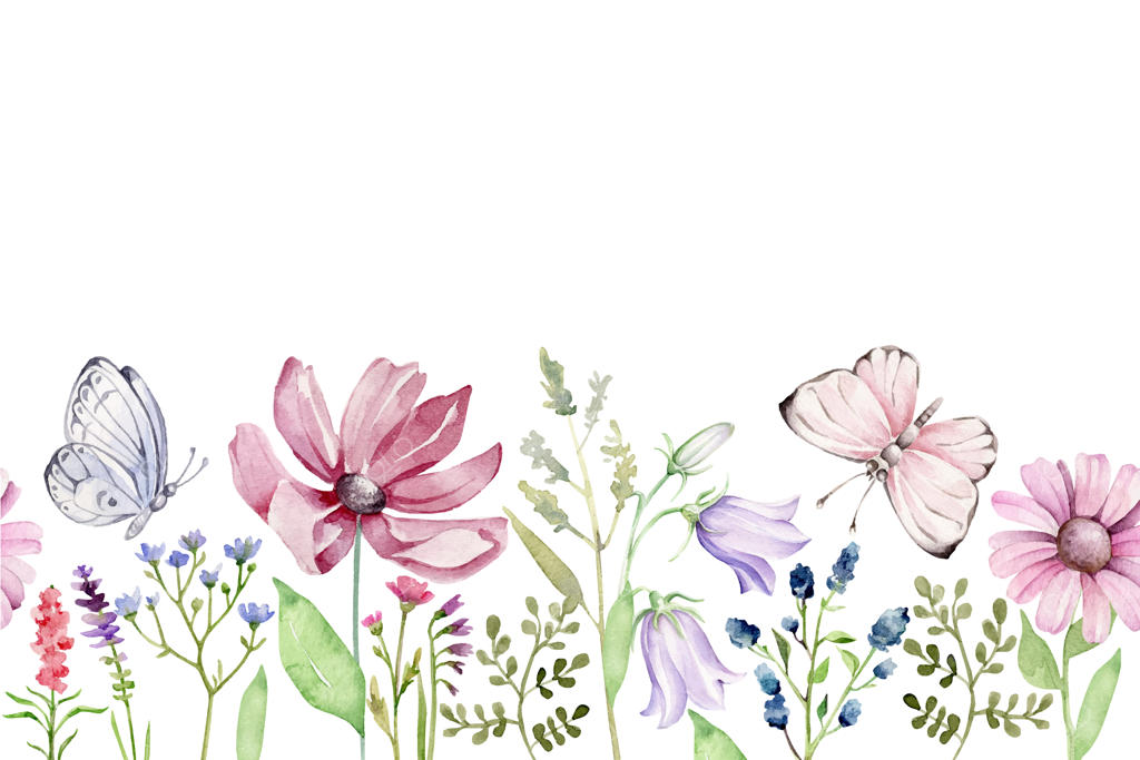 حاشیه تابستانی با گل‌ها