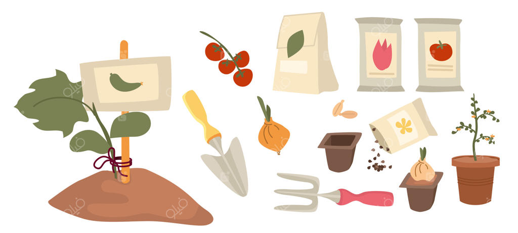 مجموعه لوازم باغبانی و عناصر کاشت گیاهان. ابزارهایی برای کشاورزی. نهال‌ها در زمین، بذرها در بسته‌بندی و گلدان. وکتور کارتونی ساده