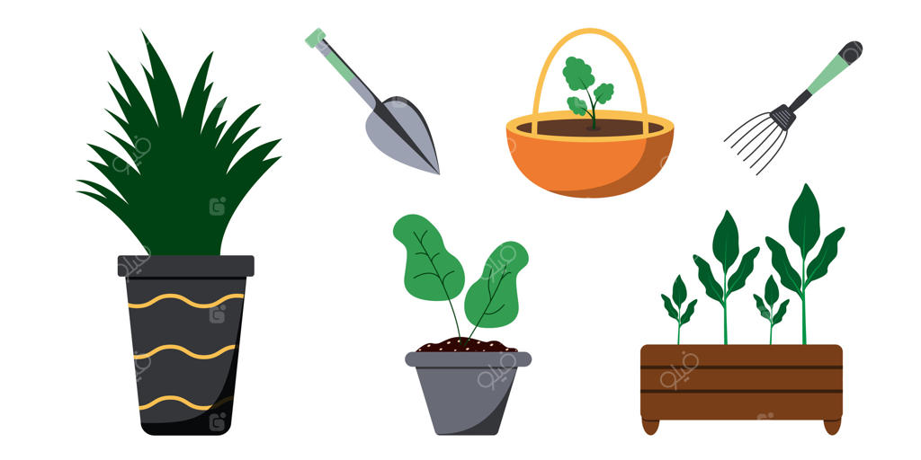 ابزارهای خلاقانه برای باغبانی و گیاهان در ظروف متنوع برای باغبانان شهری