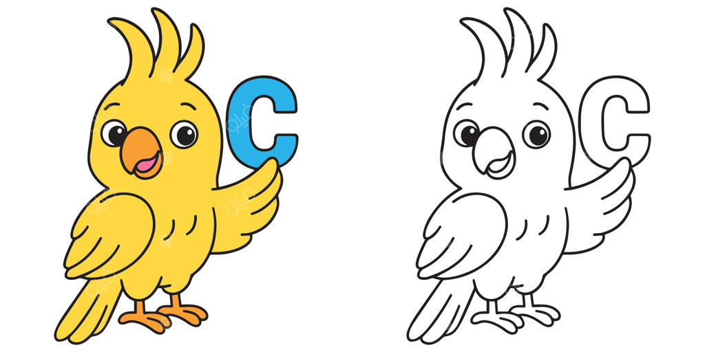 پرنده کارتونی رنگارنگ با حرف C
