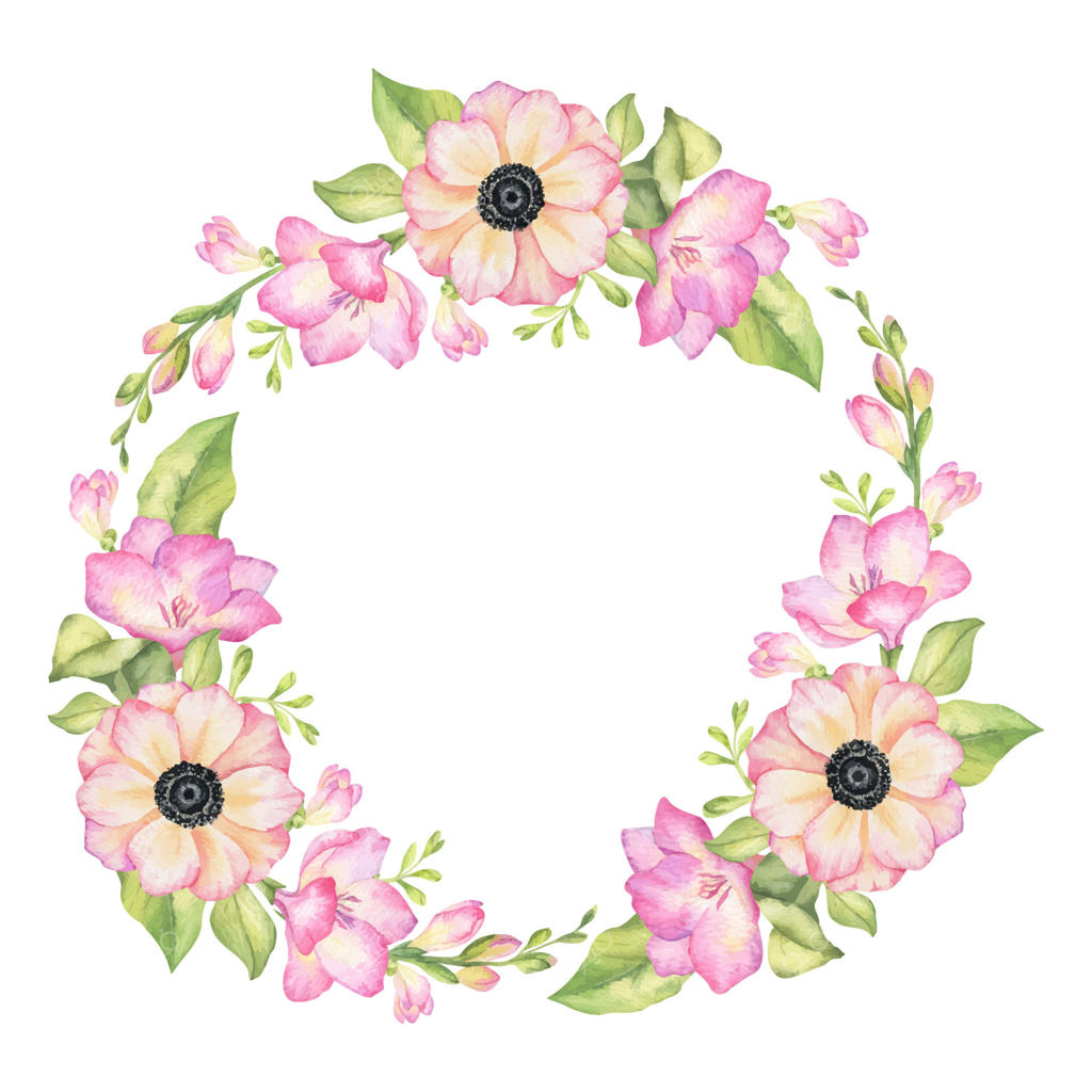 گل‌های فریزیا صورتی، غنچه‌ها و برگ‌ها. قاب گرد دست‌کشیده آبرنگی از گل‌های باغی صورتی. حلقه گل‌های تابستانی وحشی صورتی برای دعوتنامه‌های عروسی، کارت‌ها و بسته‌بندی محصولات