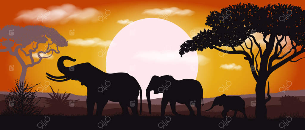تصویر منظره غروب آفریقا با سیلوئت فیل ساوانا آفریقایی