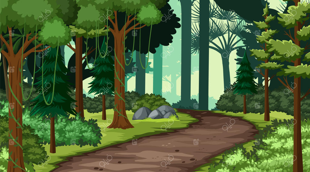 منظره‌ای طبیعی با درختان فراوان و جاده‌ای زیبا