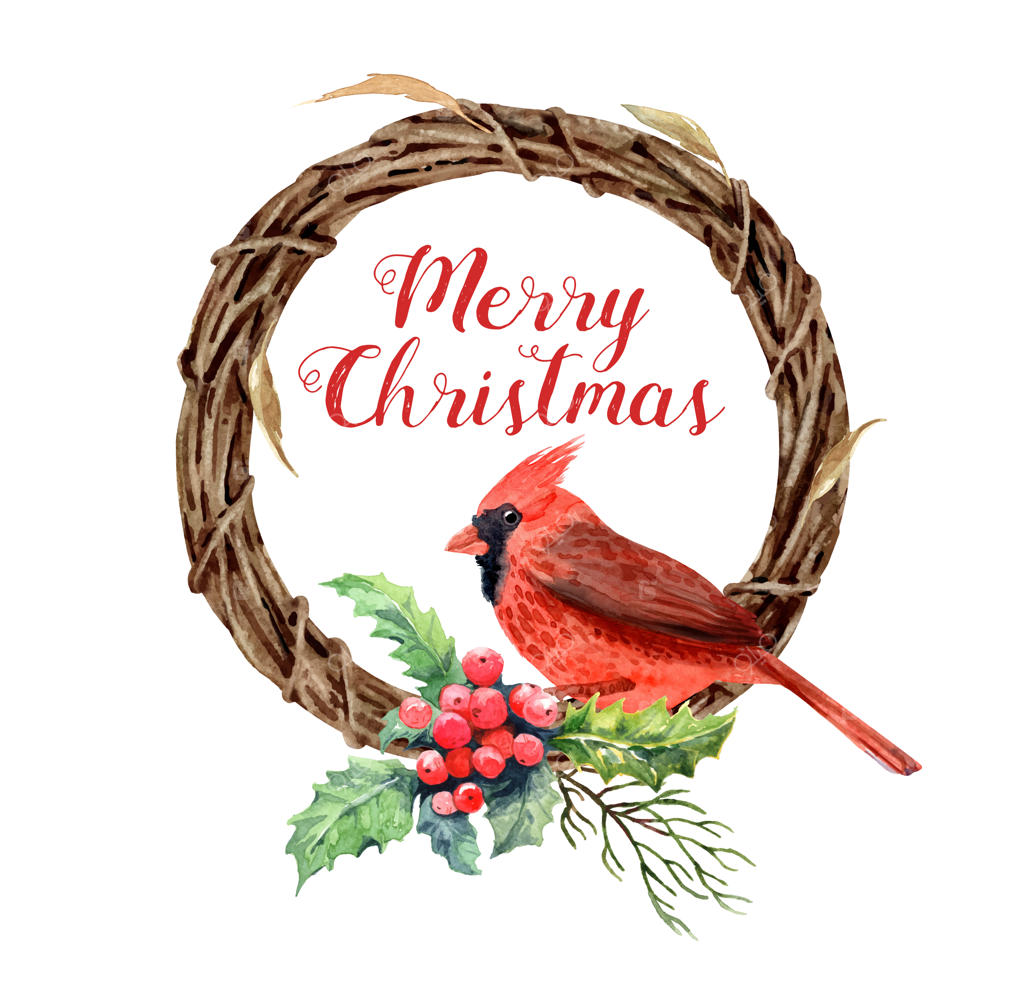 حلقه گل پیچک خشک با آبرنگ و پرندگان بولفینچ و خاس.