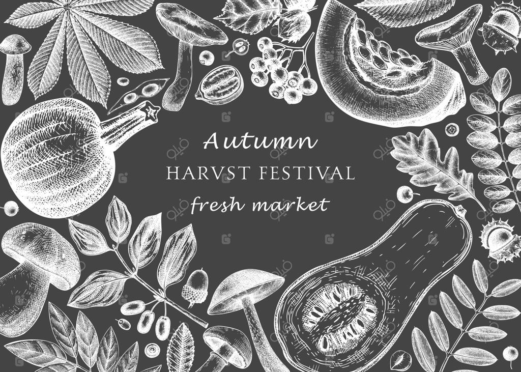 طرح پاییزی دست‌کشیده روی تخته سیاه: قالب شیک و مدرن با برگ‌های پاییزی، کدوها، توت‌ها، دانه‌ها و طرح‌های پرندگان. ایده‌آل برای دعوت‌نامه، کارت‌ها، منو، برچسب و بسته‌بندی.