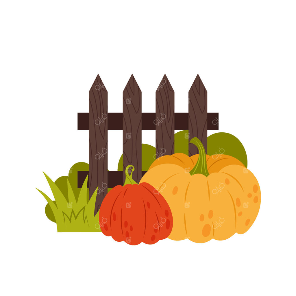 کدوهای رسیده کنار نرده چوبی. ترکیب باغی با کدوهای پاییزی. تزئین پاییزی بر روی زمینه سفید.