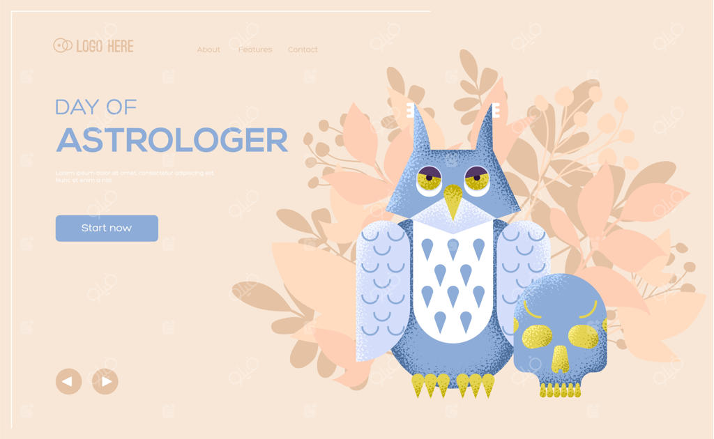 پوستر مفهومی جغد با جمجمه: بنر وب، هدر رابط کاربری، ورود به سایت با بافت دانه‌دار و افکت نویز.