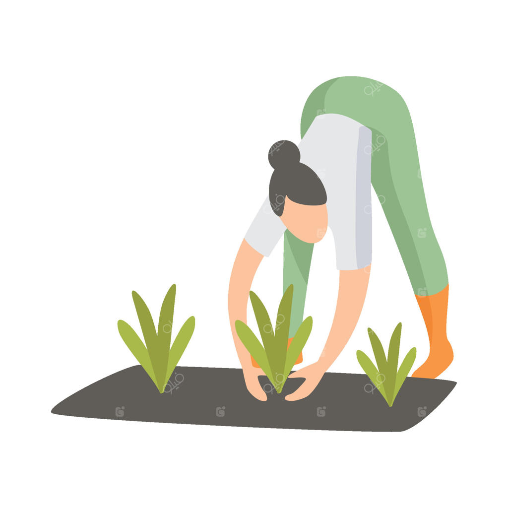 مراقبت زن از گیاهان در باغ، تصویر دختری که محصولات کشاورزی پرورش می‌دهد