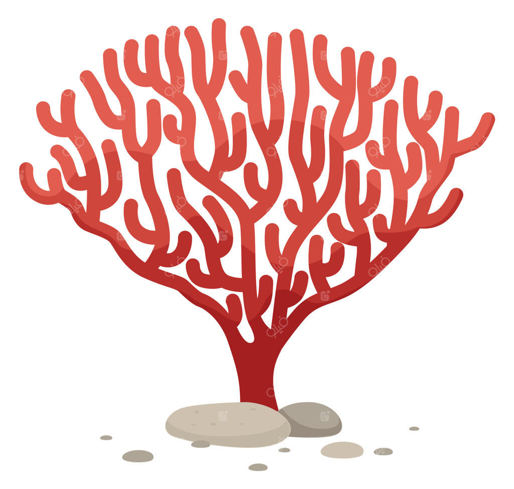 شاخه مرجان قرمز کارتونی در صخره‌های زیر آب