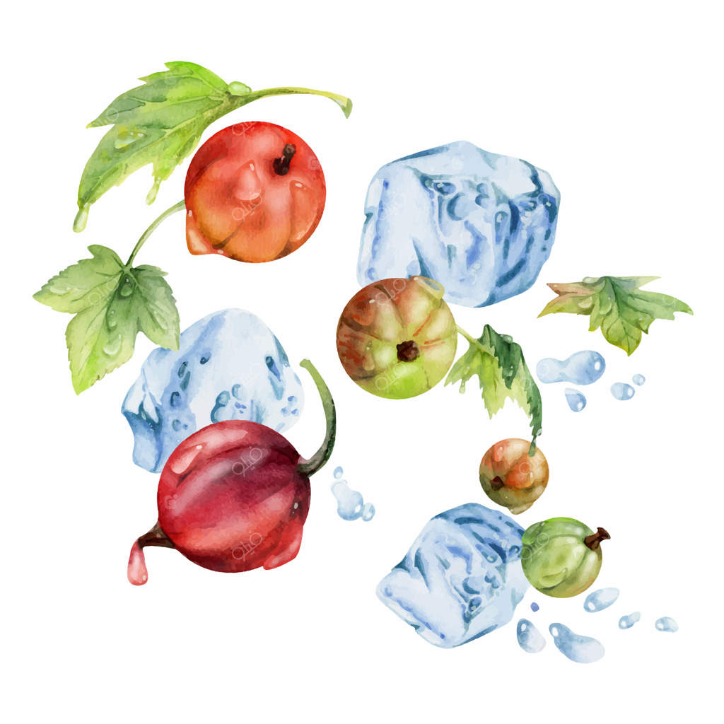 انگور فرنگی در حال پرواز در پاشیدن آب بر روی برگ‌های سبز، تکه‌های یخ، قطرات شبنم، توت‌های رسیده، جونی‌بری، کسره‌، جست‌بری. تصویر دست‌کشیده با آبرنگ. نوشیدنی‌های دست‌ساز، خواربار فروشی