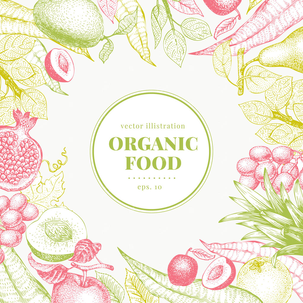 پس‌زمینه وکتور میوه‌های دست‌کشیده. قالب بنر.