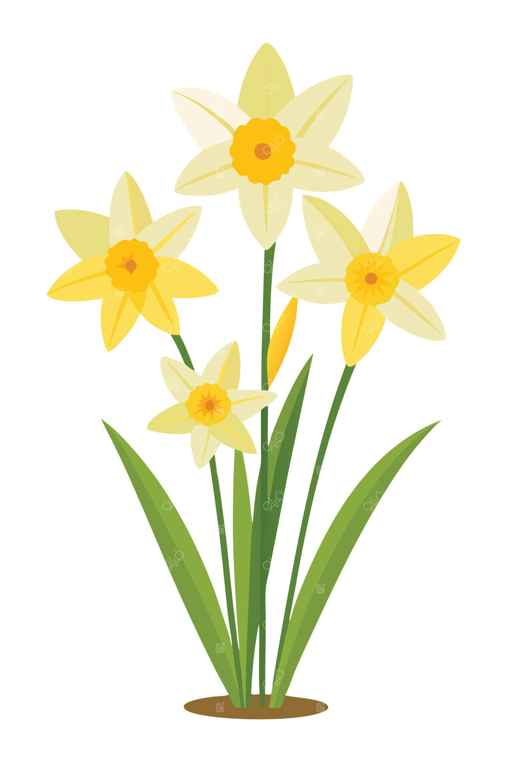 تصویر زیبای رویش گل‌های نرگس زرد بهاری در باغی سرسبز