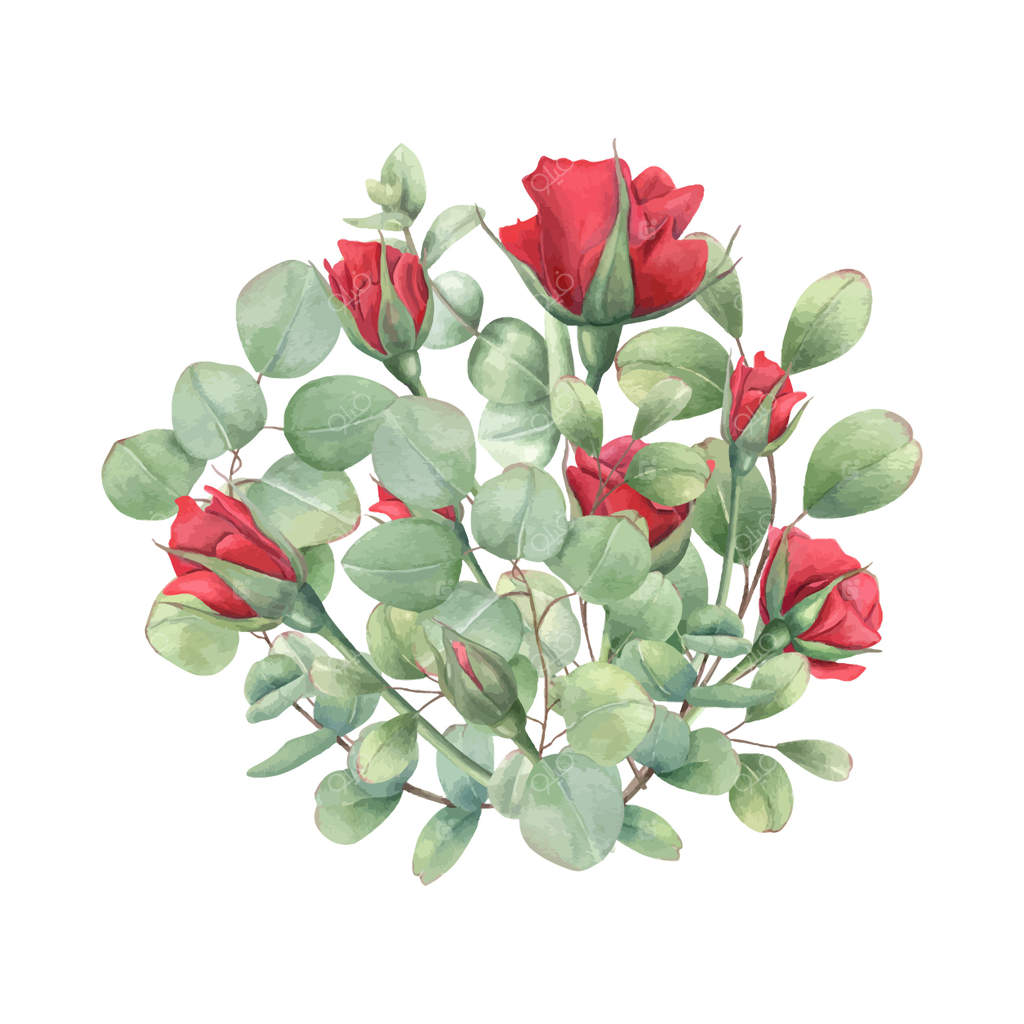 تصویر دسته گل رز قرمز آبرنگی با شاخه‌های اوکالیپتوس. گیاهان گلدار باغ با برگ‌های سبز. مناسب برای کارت‌های تبریک تولد، طراحی دعوتنامه، عروسی و مراسم یادبود