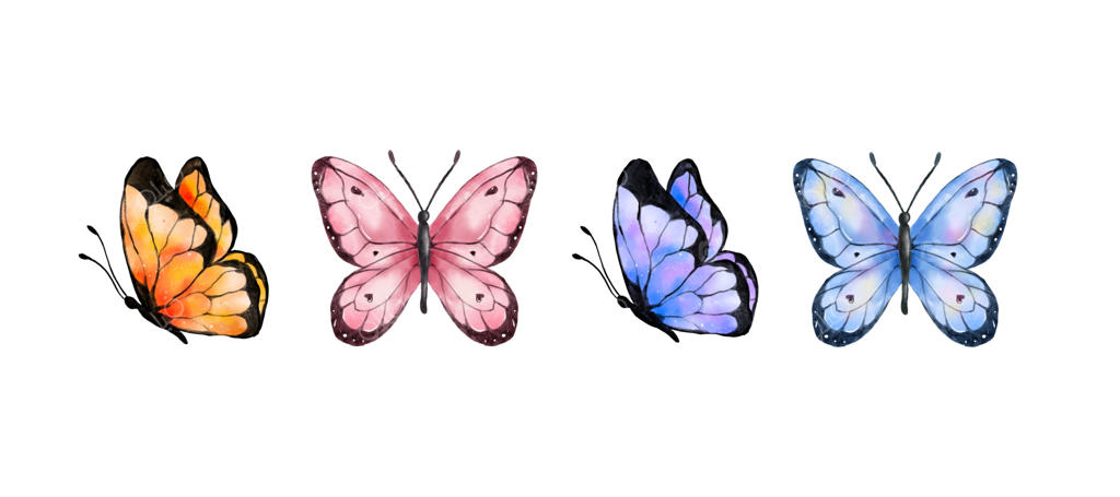 پروانه‌های رنگارنگ در پس‌زمینه سفید. پروانه‌های آبی، نارنجی، بنفش و صورتی. تصویرسازی وکتور از حیوانات بهاری