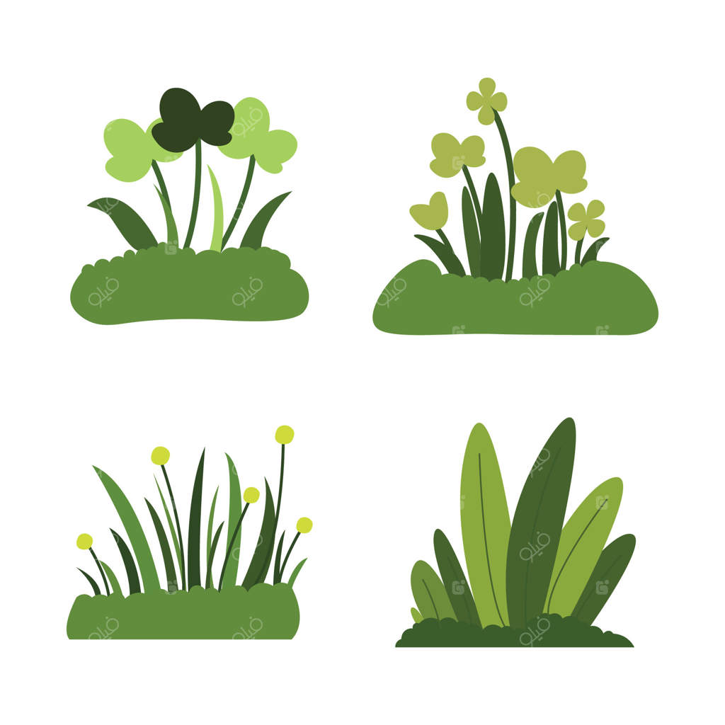 مجموعه‌ای از برگ‌های گیاه بوته‌ای سبز در باغچه