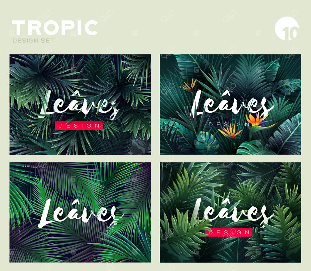 مجموعه‌ای از الگوهای درخشان و گرمسیری با تصویرسازی برگ‌های استوایی
