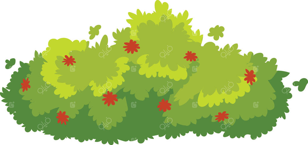 بوته‌های سرسبز با گل‌های قرمز درخشان، زیبایی خاصی به فضای آرامش‌بخش باغ می‌بخشند و محیطی دل‌انگیز و دلپذیر ایجاد می‌کنند.