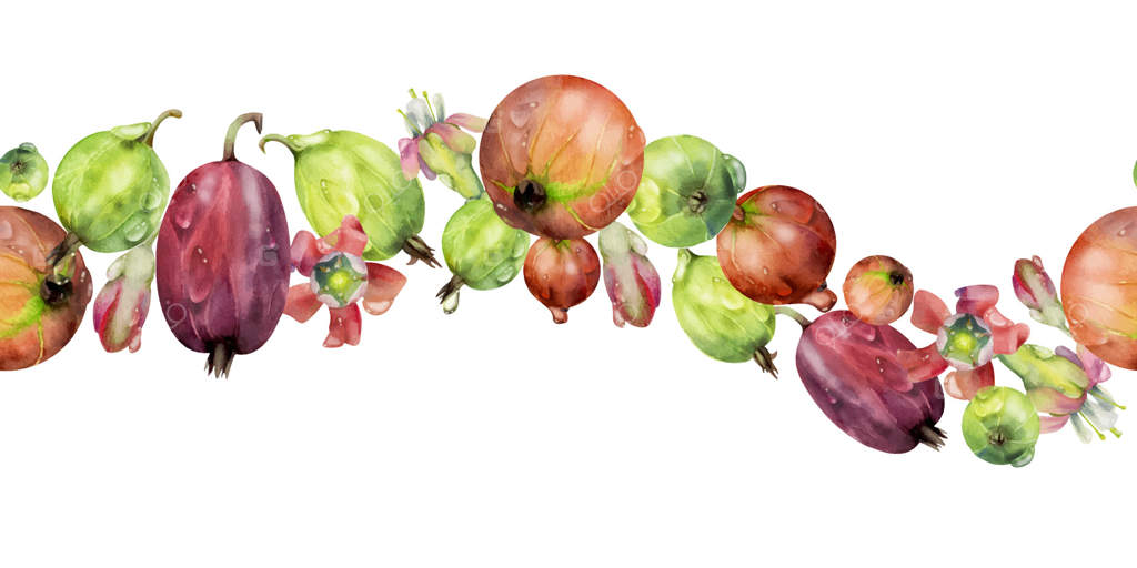 توت‌فرنگی و انگور فرنگی: توت‌های باغ، گل‌ها با قطرات شبنم، طراحی شده با آبرنگ. بنر امواج پیوسته و جداگانه. کنسرو خانگی، لوازم‌التحریر، دکور فروشگاه مواد غذایی، منوی کافه، کتاب آشپزی