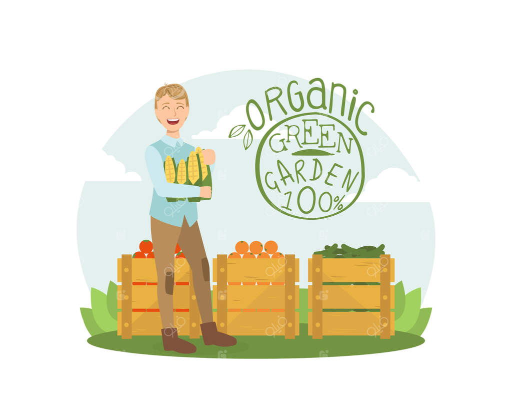 باغ سبز ارگانیک، مردی خندان با میوه‌ها و سبزیجات تازه در جعبه‌های چوبی (تصویرسازی)