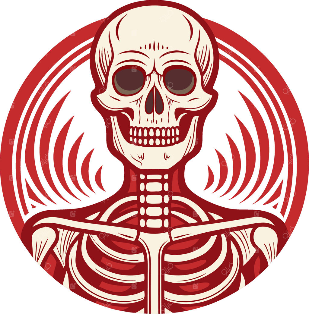 تصویرسازی دقیق اسکلت آناتومیک برای مصارف آموزشی و پروژه‌های طراحی خلاقانه