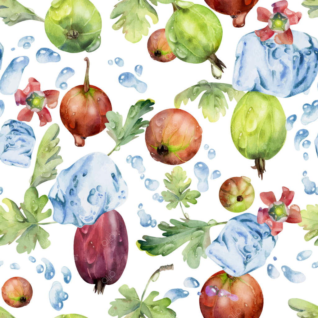 انگور فرنگی و انگور قرمز شناور در پاشش آب با برگ‌ها و گل‌ها، مکعب‌های یخ و قطرات شبنم، میوه‌های رسیده باغی. پترن یکپارچه جداگانه با آبرنگ نقاشی شده. نوشیدنی‌های خانگی، خواربار فروشی.