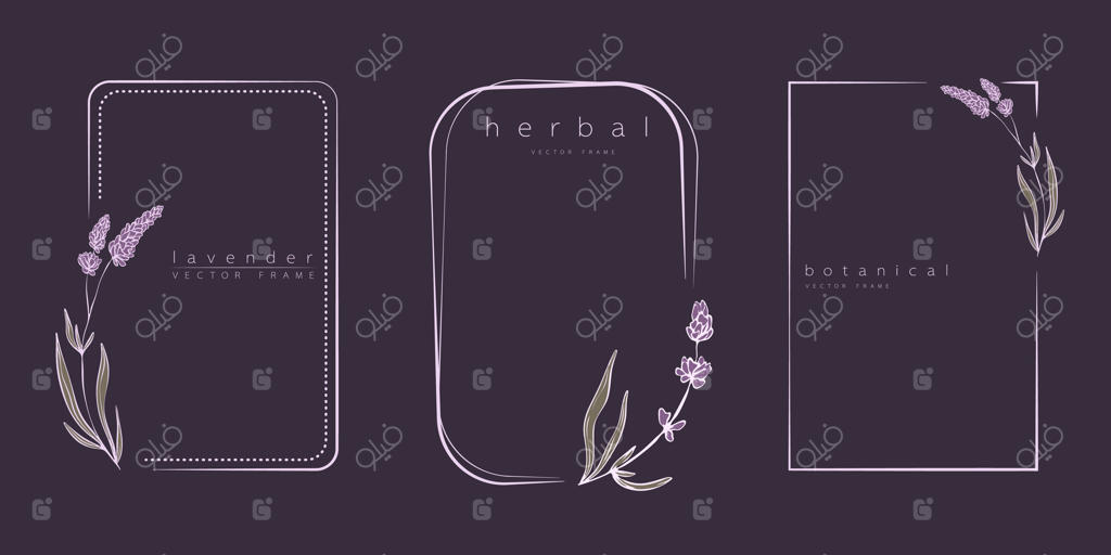 مجموعه قالب‌های قاب اسطوخودوس با طراحی مینیمال و شاخه‌ها و برگ‌های دست‌کشیده. تصویرسازی گیاهی وکتور برای برچسب‌ها، هویت سازمانی، دعوت‌نامه عروسی، لوگو و کارت ذخیره تاریخ