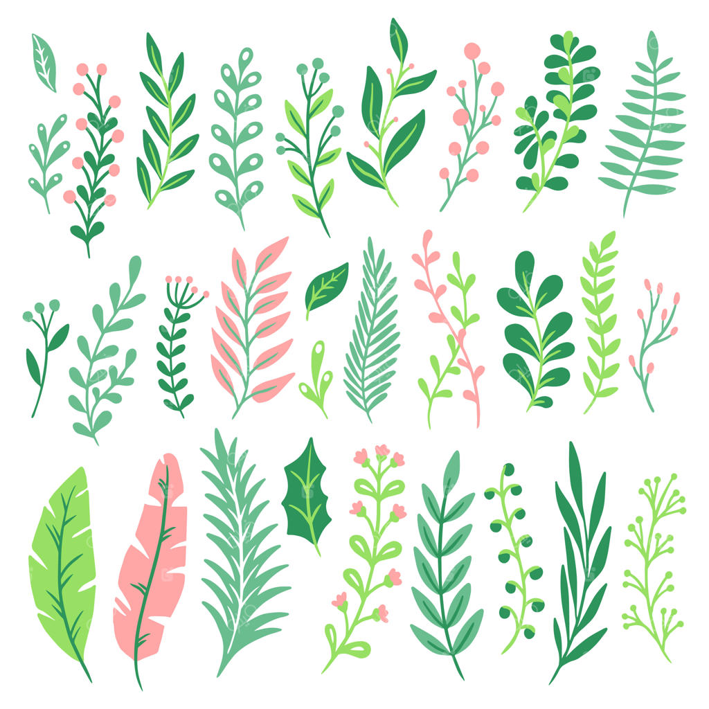 برگ‌های دکوراتیو: مجموعه‌ای از برگ گیاهان سبز، سرخس‌ها و برگ‌های طبیعی گل‌ها و سرخس‌ها