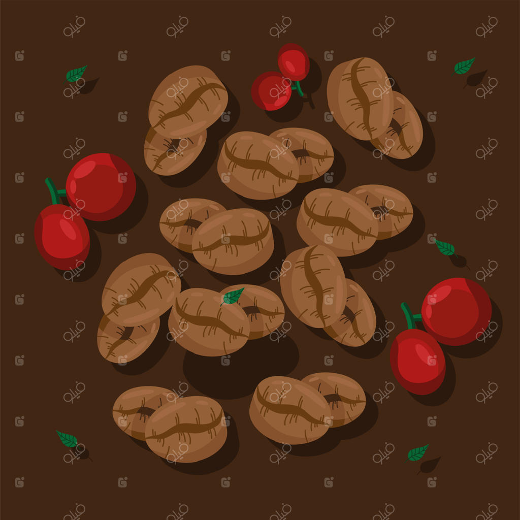 دانه‌ها و بذرهای قهوه