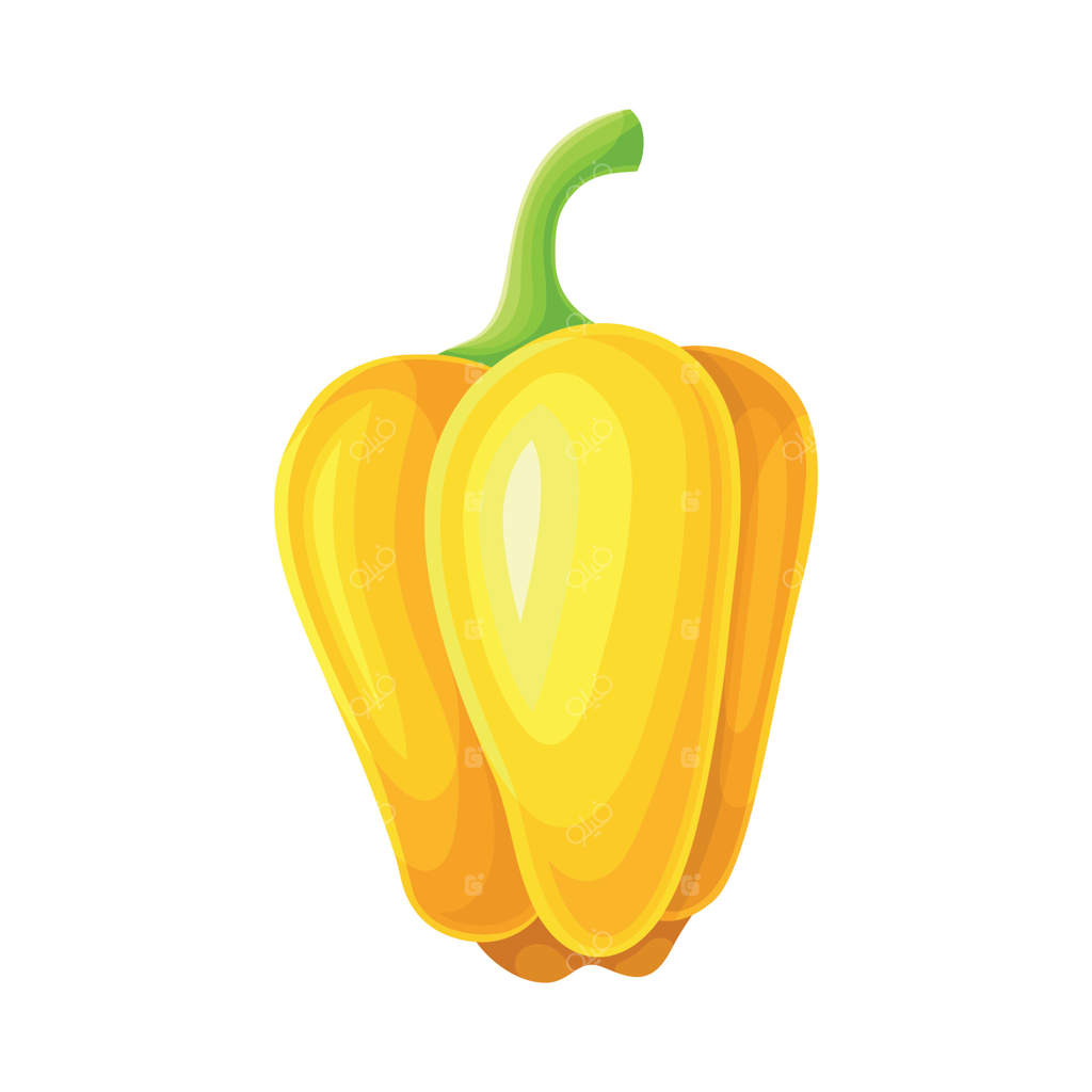 تصویر نزدیک از فلفل دلمه‌ای زرد رسیده: غذای خام سالم و کشت گیاهی در باغ