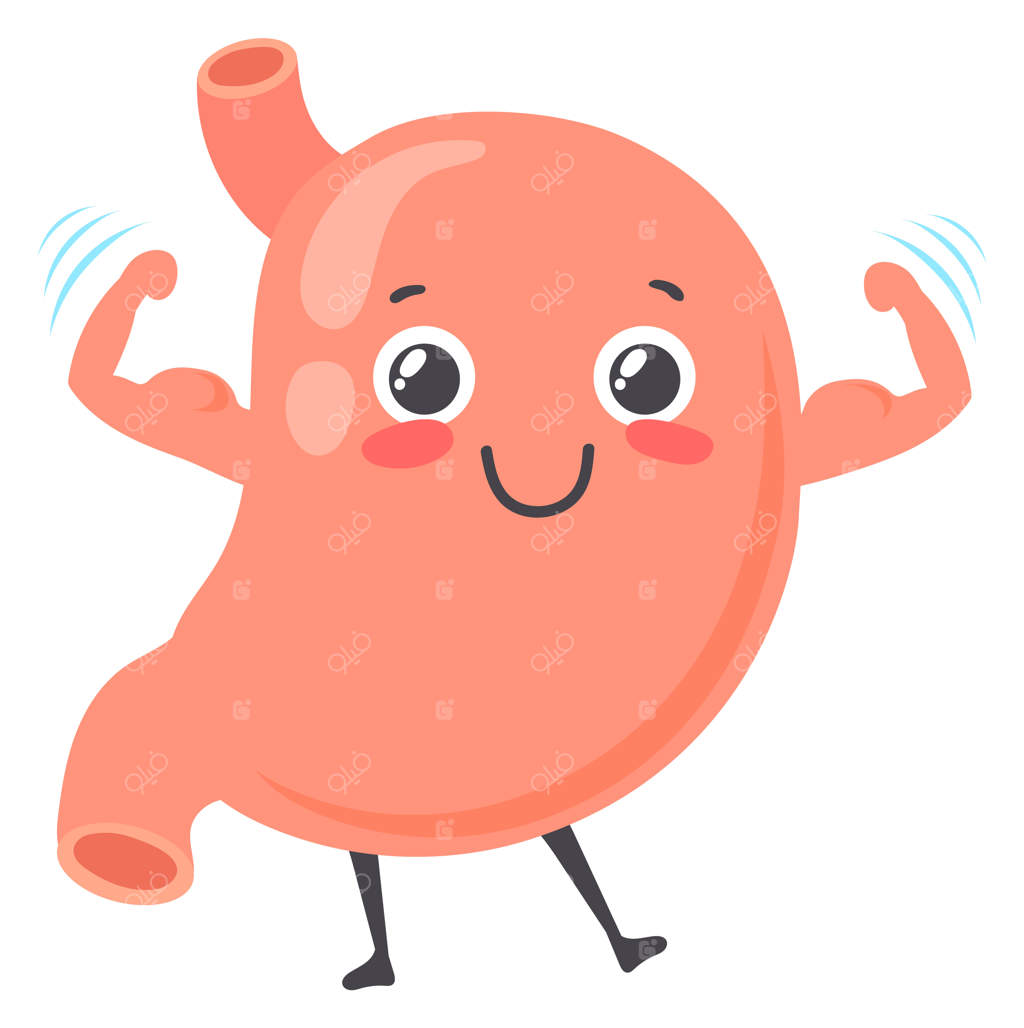 شخصیت معده قوی و سالم - نماد اندام انسانی