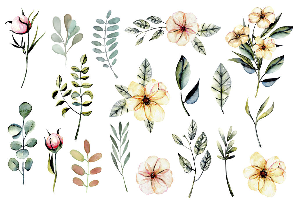 مجموعه‌ای از نقاشی گل‌ها و برگ‌های صورتی با آبرنگ