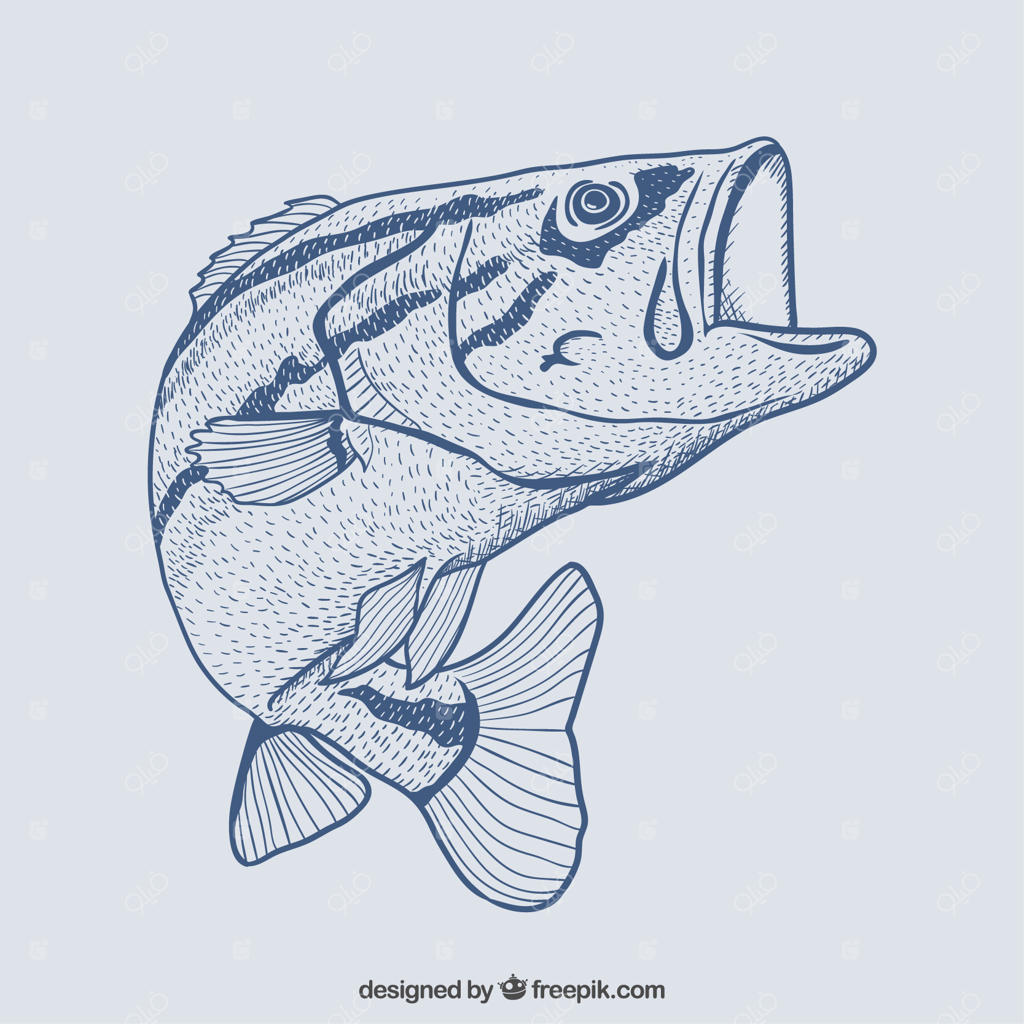 ماهی های طراحی شده با دست