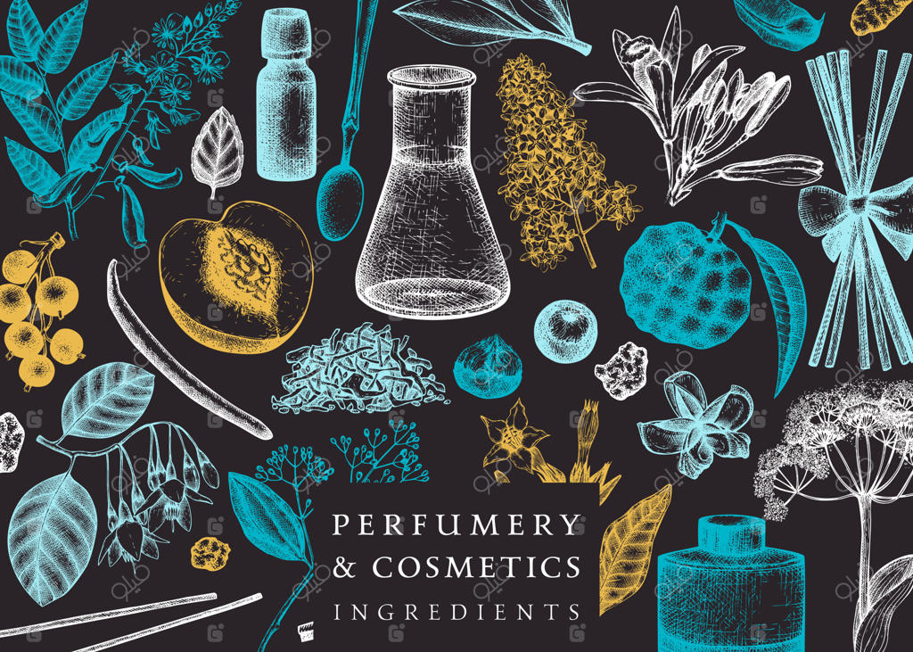 قاب وکتور با میوه‌ها و گل‌های معطر روی تخته سیاه: طراحی مواد اولیه عطر و لوازم آرایشی با گیاهان دارویی و معطر، قالب گیاهی برای کارت یا دعوتنامه