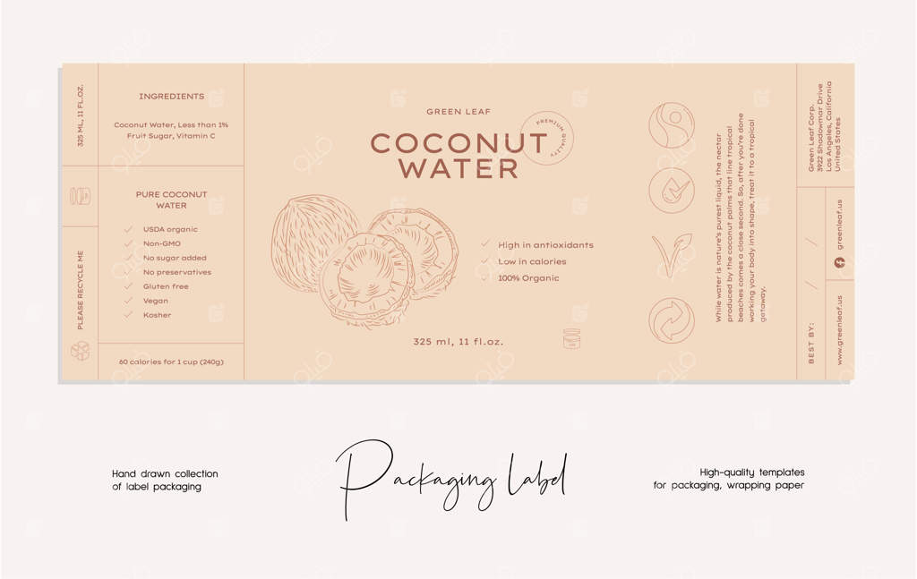 قالب طراحی بسته بندی برچسب مواد غذایی با هنر خطی دستی وکتور