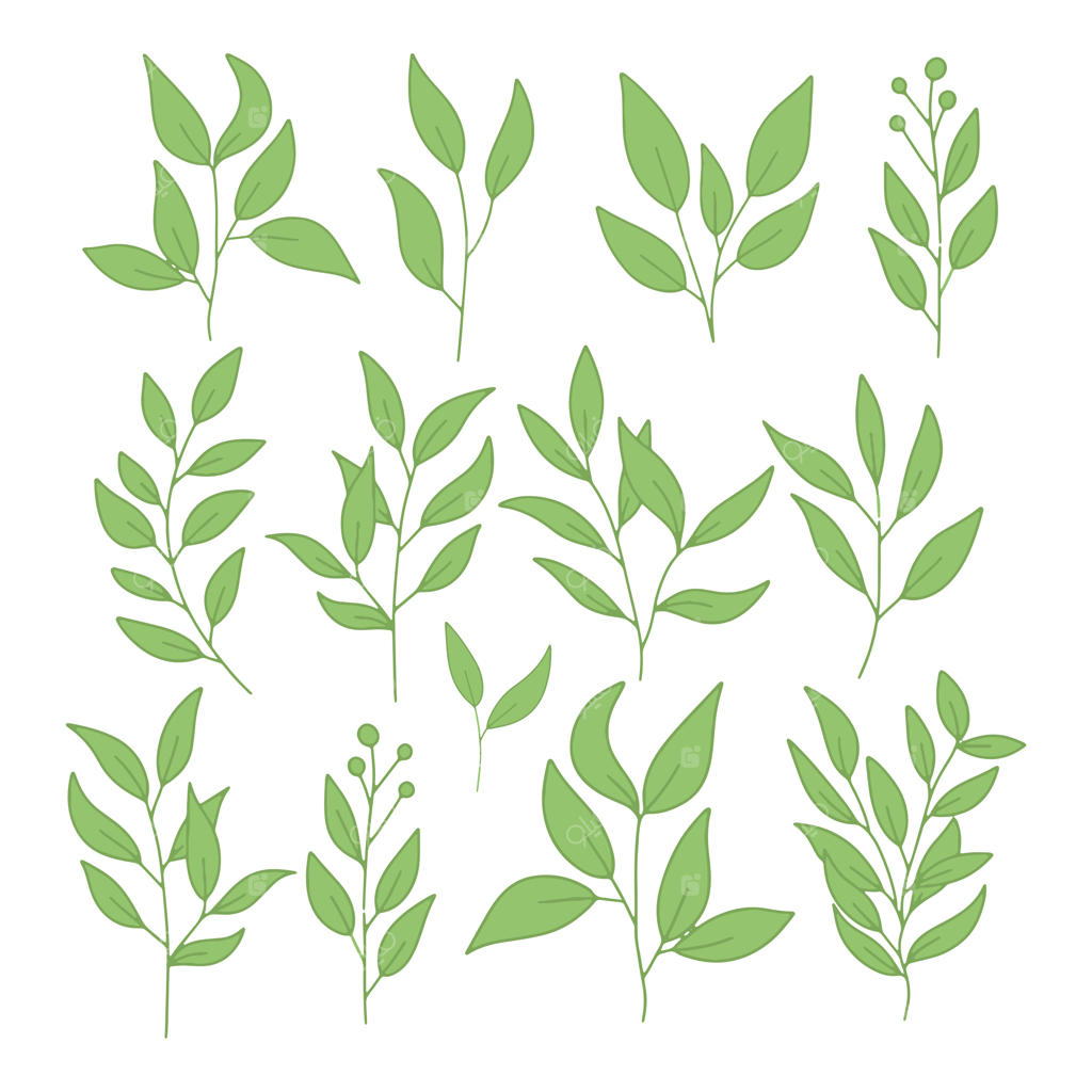 دسته‌ گل‌های زیبا از گل‌ها و برگ‌های آبرنگی - عناصر گل‌آرایی با آبرنگ