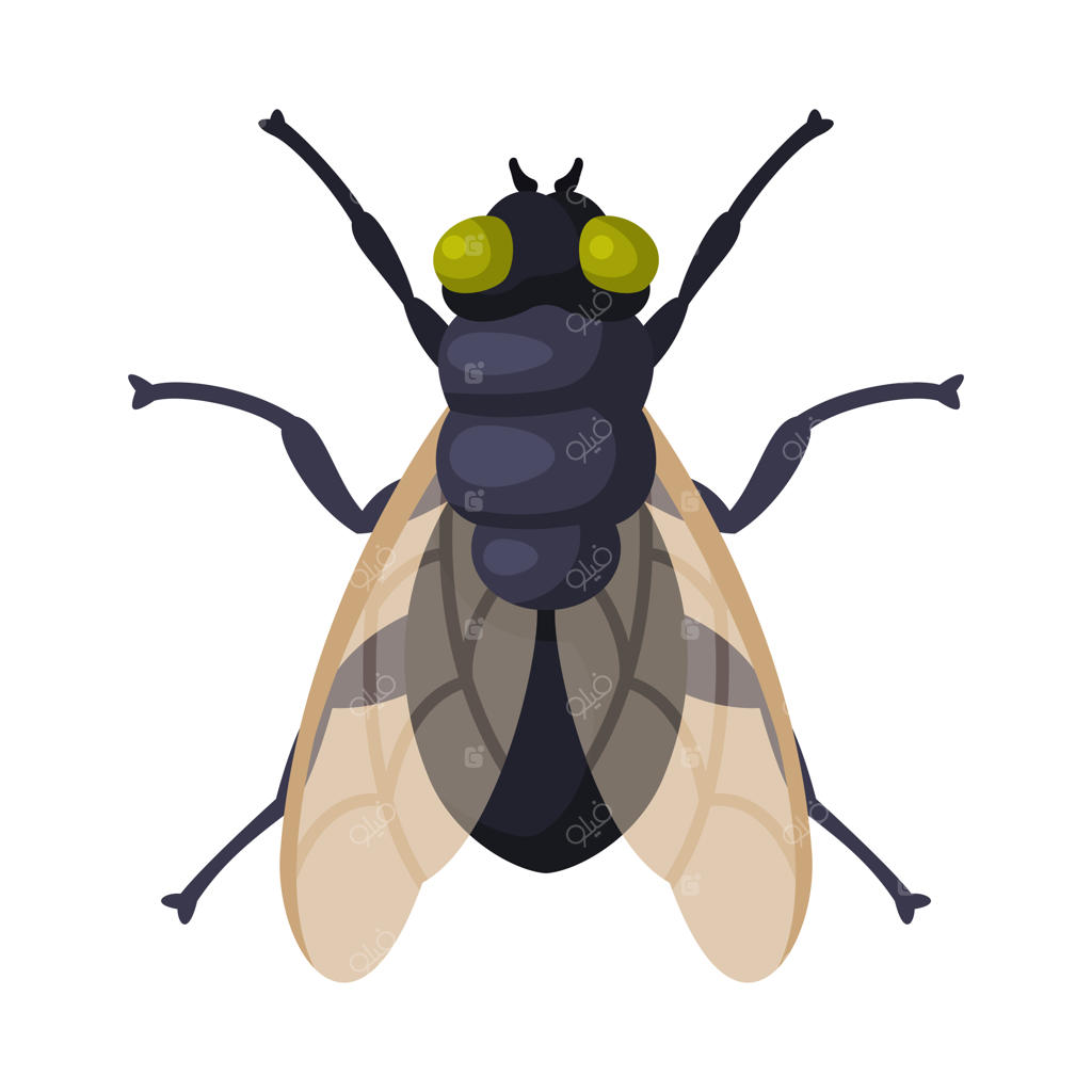 مفهوم کنترل و دفع حشرات موذی: تصویرسازی برداری بر روی پس‌زمینه سفید