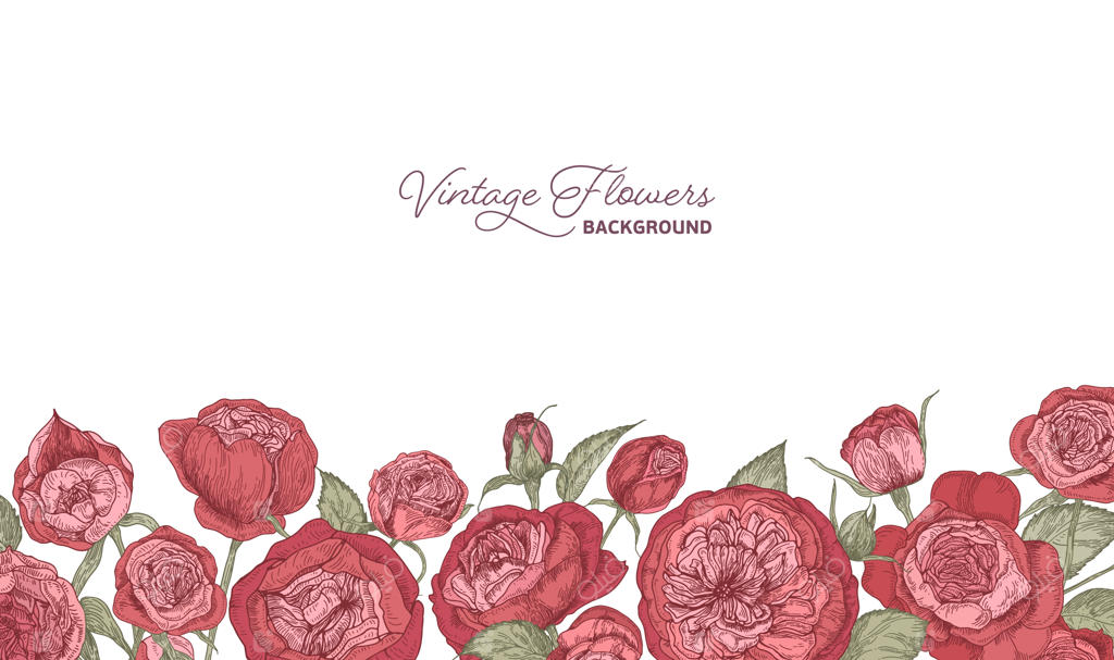 پس‌زمینه افقی آراسته به گل‌های شکوفای باغ.