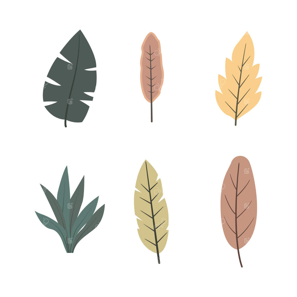 مجموعه عناصر برگ‌های پاییزی برای تزیین باغ و پارک