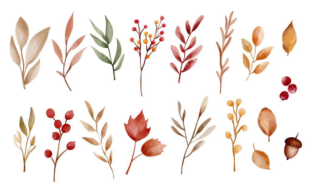 مجموعه‌ای از وکتورهای حرفه‌ای گیاهان و توت‌های پاییزی با آبرنگ